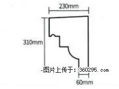 产品分解图型 - 檐口线，型号：SX311-YK-3，规格：230x310mm(3) - 黄冈三象EPS建材 hg.sx311.cc